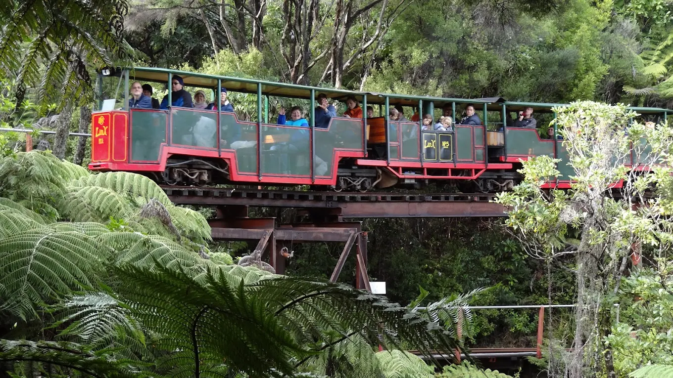 Driving Creek Railway